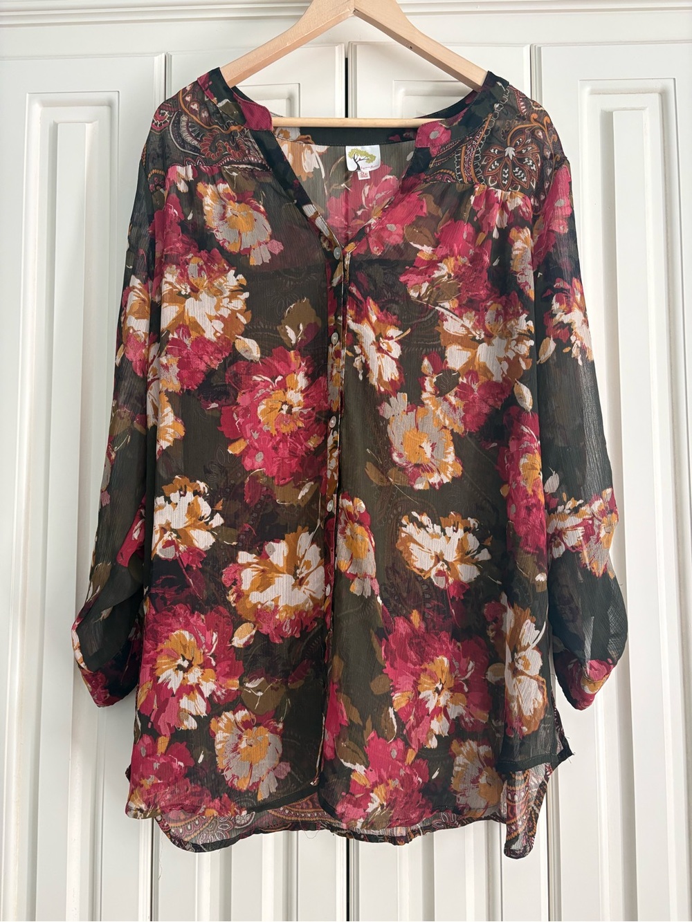 Fig and Flower Anthropologie 2X Sheer Floral Button Up Blouse Roll Tab Sleeves